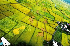 Beyond Beauty Taiwan 1 June 19